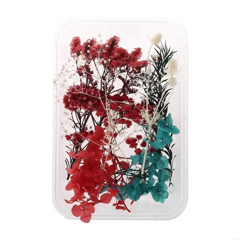 Y88D 1 Caja Real Mix Flores secas para aromaterapia Joyas resina vela Plantas secas Flores prensado Flower Diy Accesor