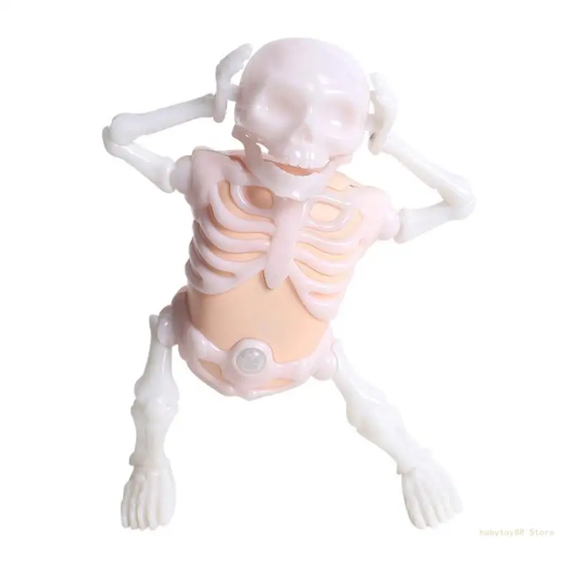Y4UD Interactive Skeleton Model with Light and Sound Interactive Toy for Children