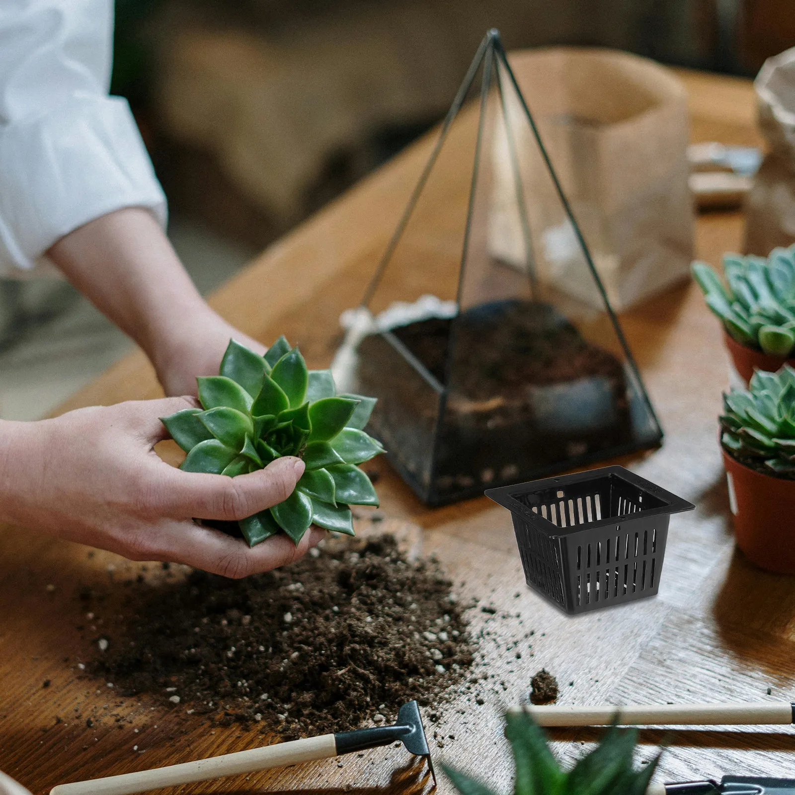 12 pcs Planting Basket Root Hydroponic Baskets Pots Plastic Halloween Christmas New Year Gardening Net Pot Hydroponic Net Pot