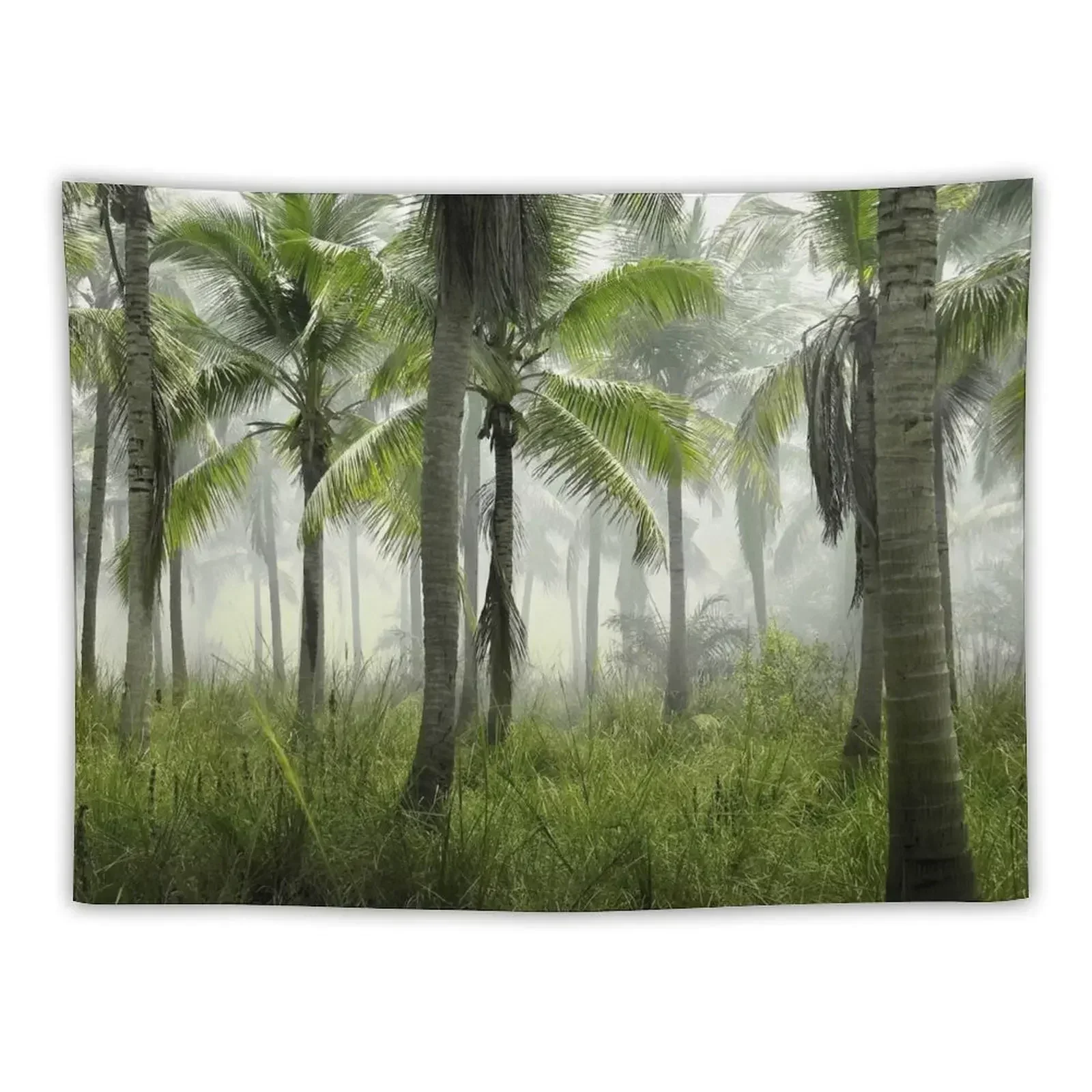 

Palm Trees at Sunrise - Foggy Forest Tapestry Decorations For Room Decoration Room Tapestry
