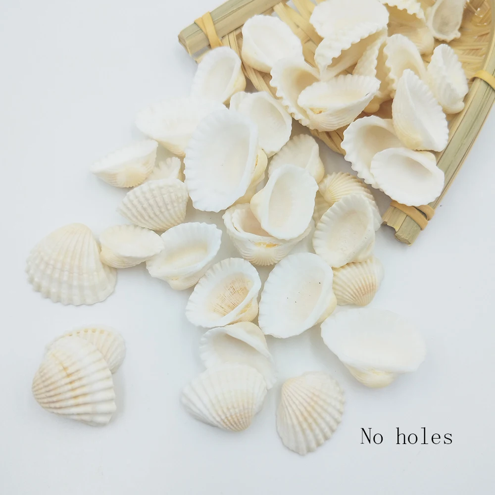 15PCS 2-3.5CM Non-Porous Snow Clam Shell Natural White Shell Fish Tank Landscape Kindergarten Handmade DIY Wedding Festival Deco