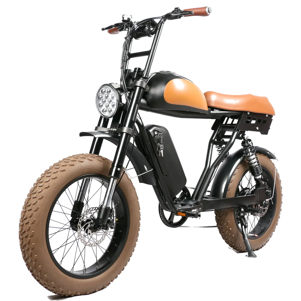 Retro Style Dual 48V 20Ah Down Tube Battery Electric Bike 20 Inch Bike 500W 1000W Rear Hub Dual Motor Full Suspension E-bike
