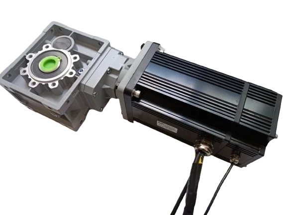 High Torque 1500W 2000W 3000W 4000W 5000W 6000W 48V Brushless Worm Gear DC Motor Gear Reduction Motor RV For Vehicle