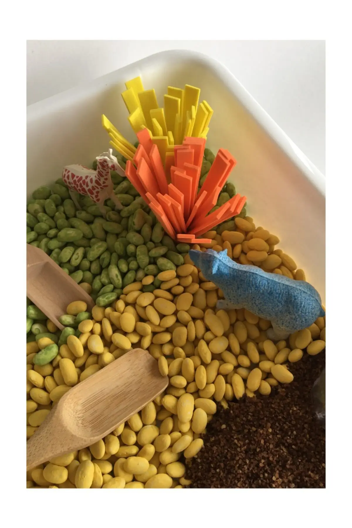 Set Game Sensorik Bertema Safari-Mainan Montessori