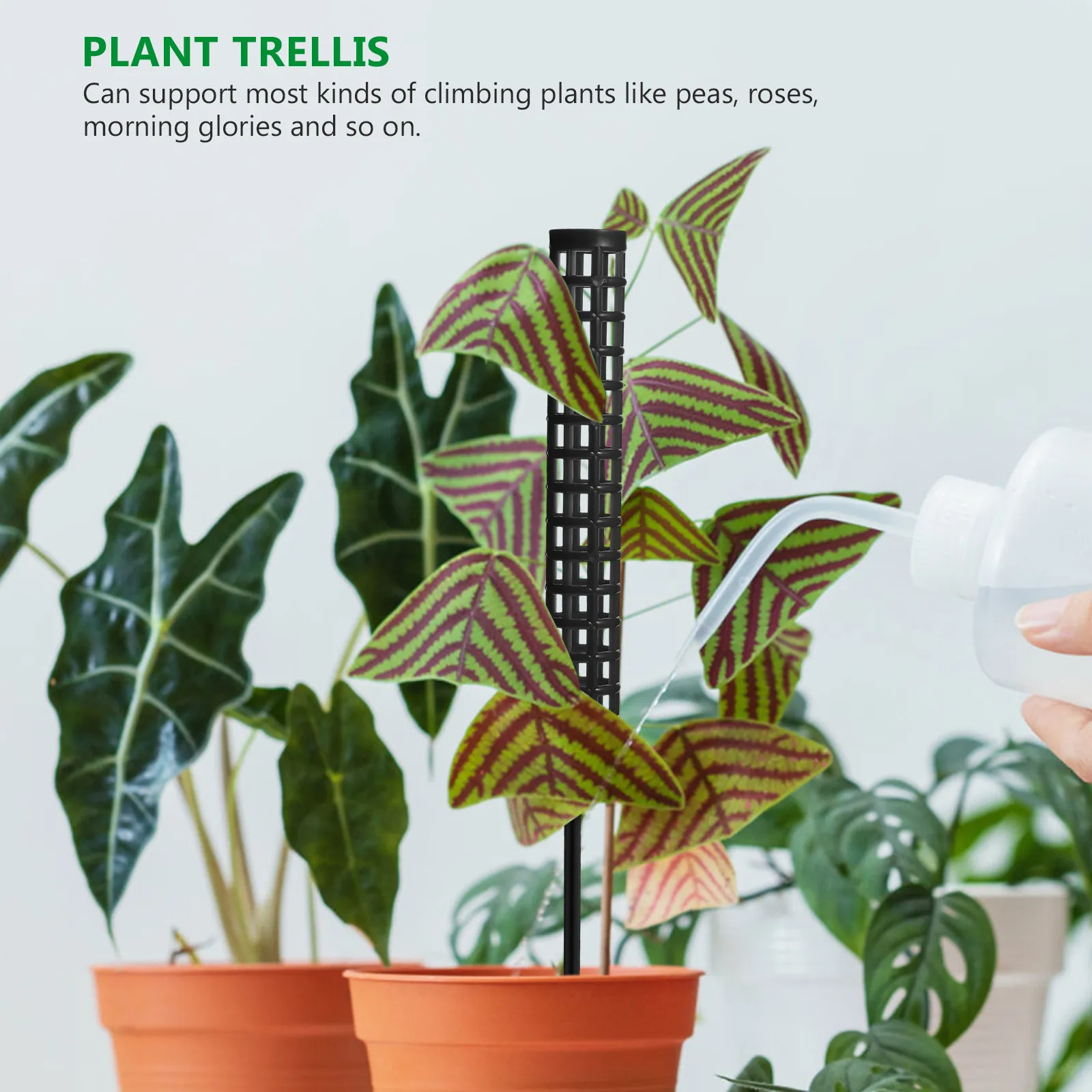 1 Juego de Columnas de Musgo Apilables para Plantas Trepadoras, Soporte para Monstera, Guisantes, Rosas, Tomates, Glicinia, Melón