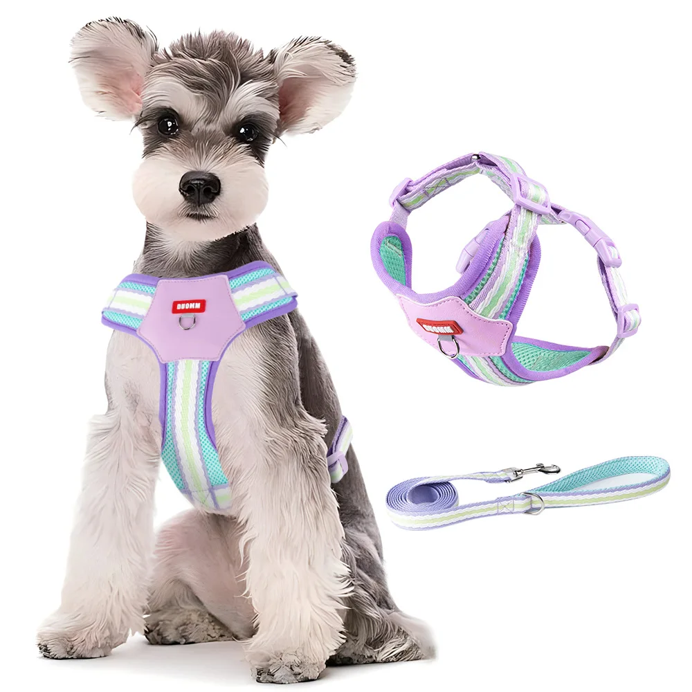 

Colorful Dog Harness with Handle Lightweight Breathable No-Pull Pet Vest Adjustable Anti-Escape Harness for Small Medium Dogs