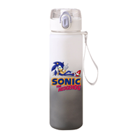 Sonic The Hedgehog Portable Leakproof Water Cup Gradient Large Capacity Outdoor Sports Cartoon Animation Fitness Water Bottle