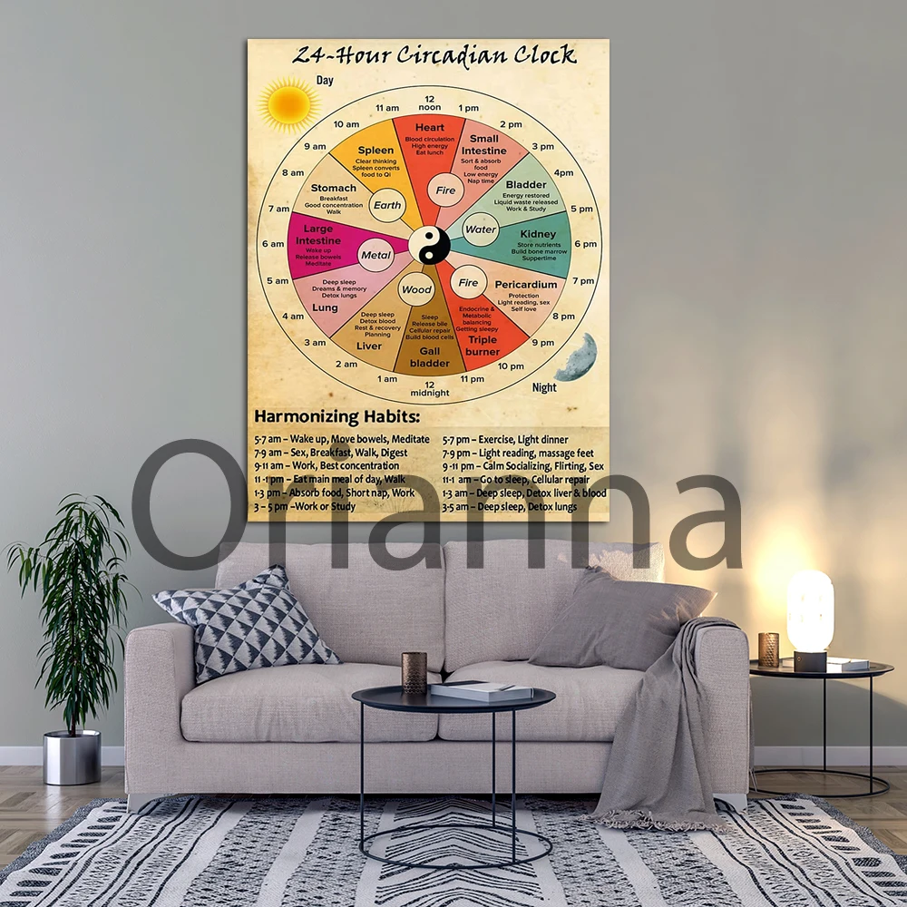 Modular 24 Hour Circadian Clock Harmonizing Habits Poster Prints Vintage Canvas Painting Home Decor Wall Artwork For Friend Gift