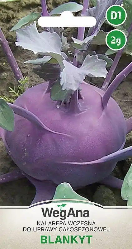 Early Blankyt Kohlrabi 2G VegAna Gemüsesamen