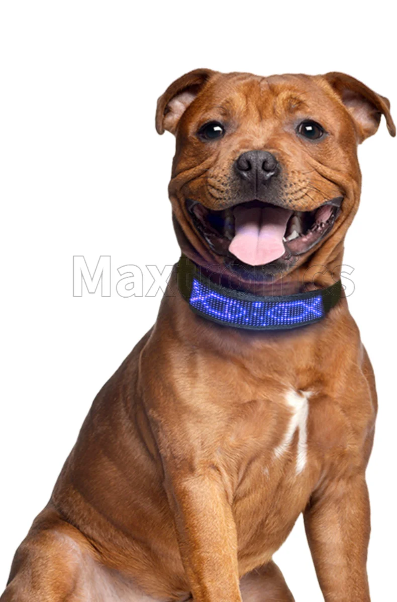 New RGB Pet LED Dog Collars USB Rechargeable Multilingual Flashing Light Up Screen Dog Collar Safe Luminous  Necklace Adjustable