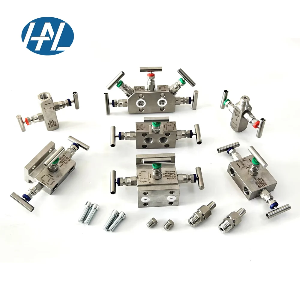 316 Stainless Steel High Pressure T-type Instrument Manifold Needle Valve 2/3/5 Manifold Valves for Gas Control