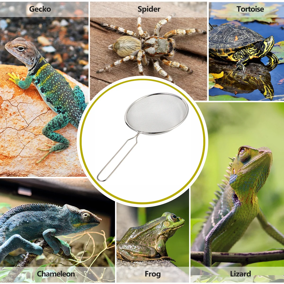 Exquisite Workmanship Reptile Sand Shovel Stainless Steel Filter Mesh for Reusable Sand Case Cleaning Stainless Steel Filter