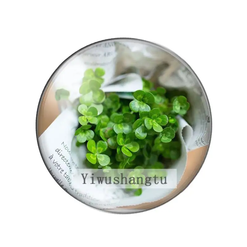 Beauty lucky Four-leaf clover good luck 8mm/10mm/ 12mm/Round photo glass cabochon demo flat back Making findings ZB0543