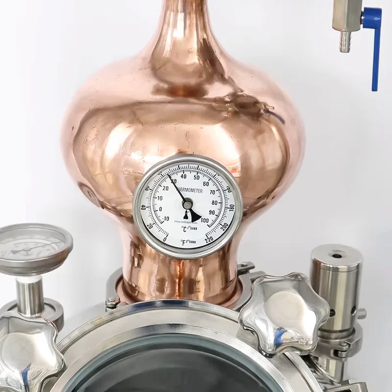 HOOLOO D42 معدات تقطير الكحول لتصحيح المنزل جهاز تقطير الأقمار جهاز تخمير الويسكي براندي لا يزال #2