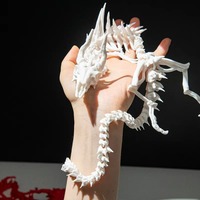 3D Printed Dragon Skeleton Model Full Body Movable Creative Gifts Ornaments Joint Skull Dragon Collectible Figurine Animal Model