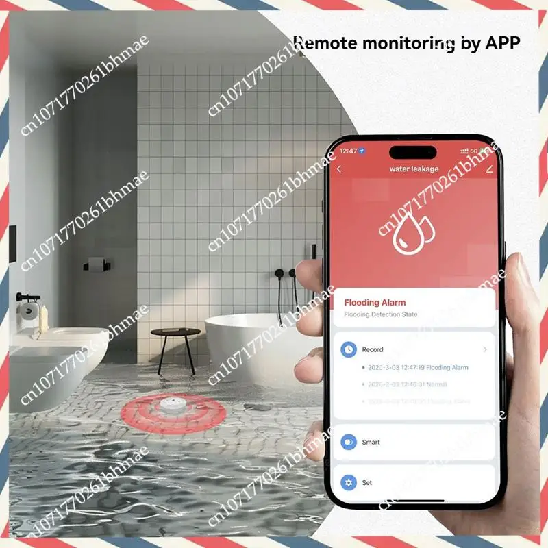 -Detector inteligente de fugas de agua y inundaciones A21Z, Sensor Tuya Zigbee con alerta de inmersión y monitoreo remoto a través de la aplicación Smart Life