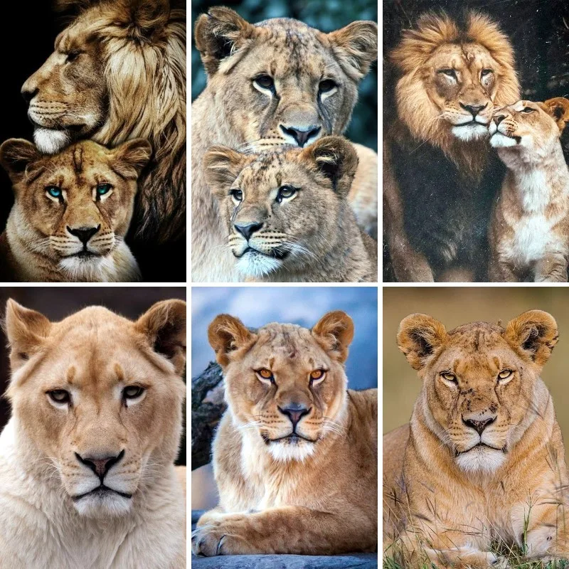 DIY 5D Diamond Painting Kit Lion Lioness Diamond Embroidery Painting Full Diamond Mosaic Art Rhinestone Home Decoration Pictures