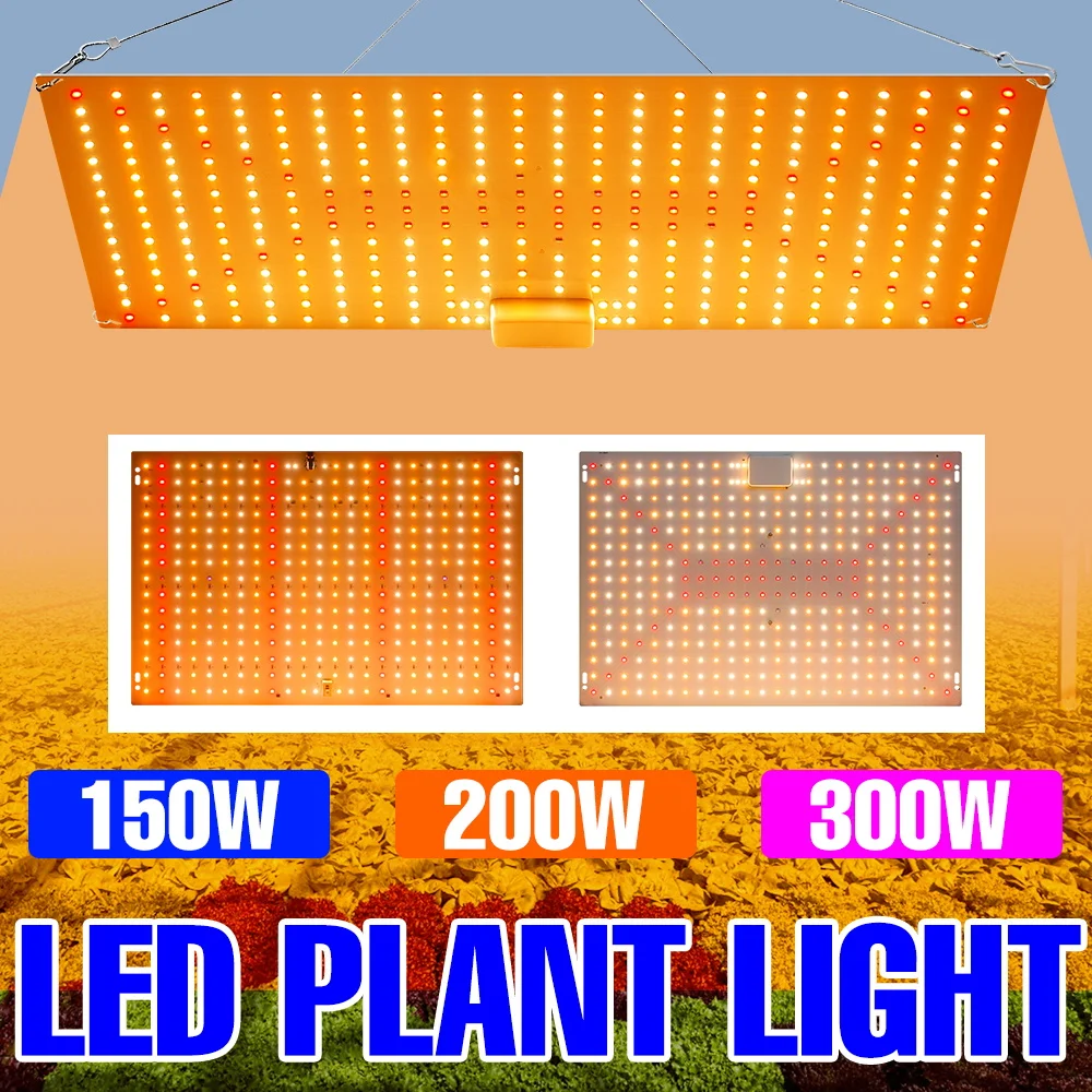 250 واط LED الطيف الكامل تنمو ضوء الكم مجلس النبات الأشعة فوق البنفسجية مصباح داخلي الدفيئة خيمة زراعة الصبار العصاري ملء الإضاءة