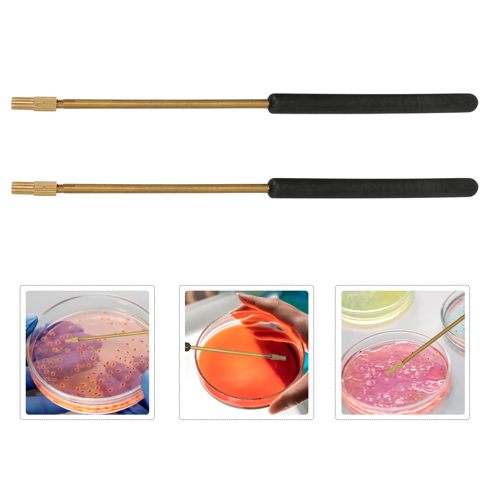 

2 Pcs Copper Inoculating Rod Lab Supplies Microbiology Inoculation Tool AGAR Culture Transfer Samples Test Experiment