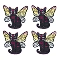 PE17079CT