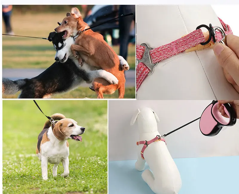 3/5 m langlebige, automatisch einziehbare Hundeleine aus Nylon, automatisch ausziehbare Leine für kleine und mittelgroße Hunde, Welpen-Gehleinen – Detail 10