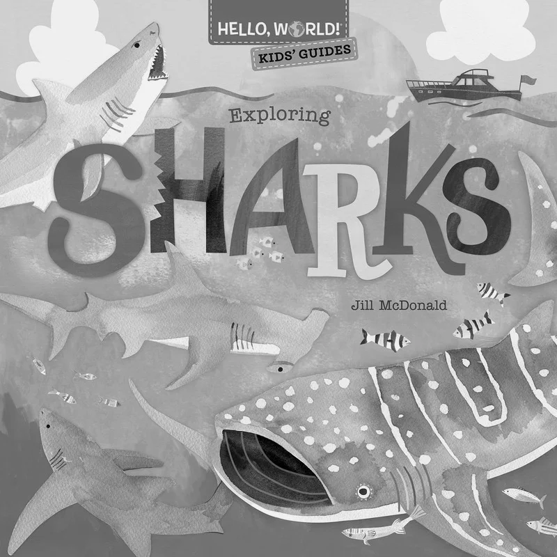 

Детские путеводители Hello World Exploring Sharks Jill McDonald Doubleday Books 9780593564813 Книга