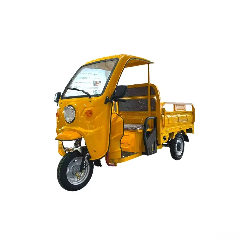 China High Quality Electric Tricycles for Adults Cargo Tricycle/Chinese 3 Wheel Electric Motorcycle for Adults Commuting
