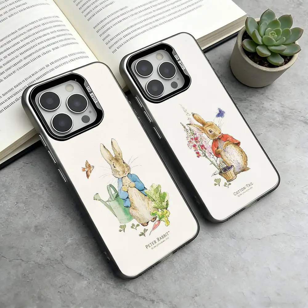 

P-Peter Rabbit Phone Case For iPhone 17,16,15,14,13,12,11 Plus,Pro Max,XS,Colorful Silver Phone case Funda Cover
