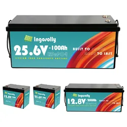 LiFePo4 100ah 200Ah Removable Energy Storage Battery 12V 24V LiFePo4 Battery Built-in BMS for Solar Boat Free Tax Vat