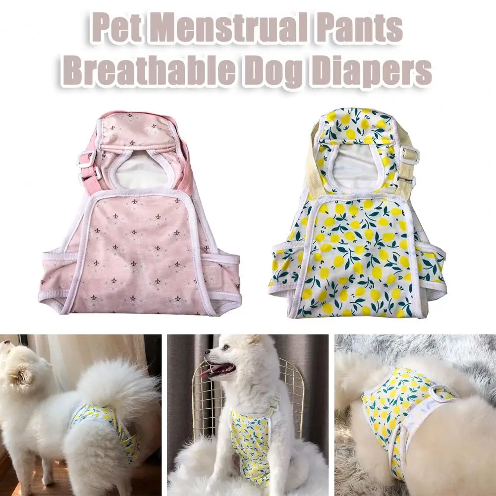 Dog Diaper Adjustable Dog Diapers Adjustable Dog Pantie with Leak-proof Physiological Pants for Pet Menstrual Comfort for Dogs