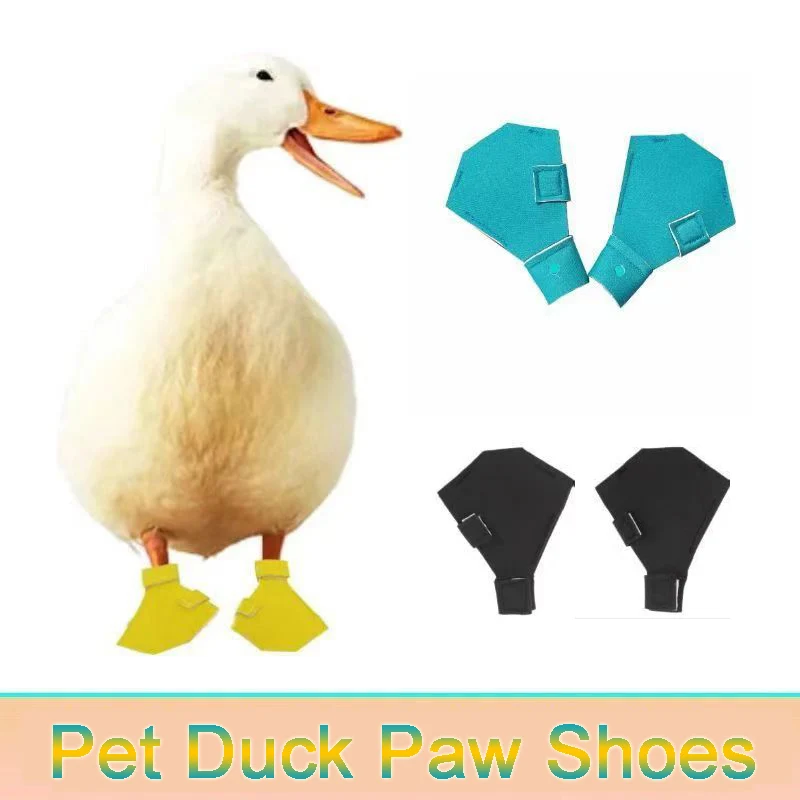 Kodak Duck Foot Shoes Special Shoes For Pet Geese Ducks Anti-Dirty And Cold Breathable Shoes Protect Soles Outing Poultry Boots