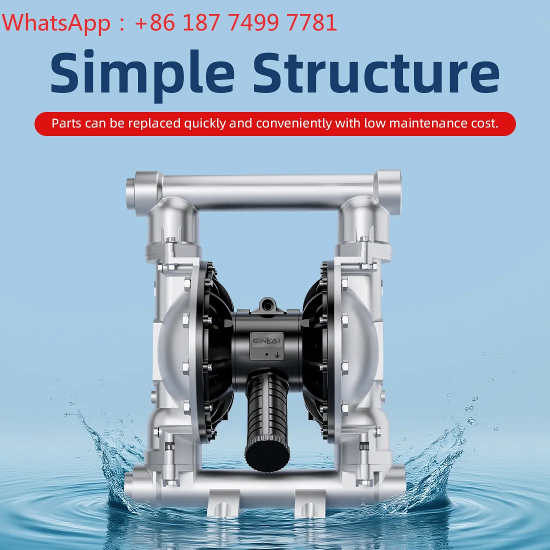 DN50 Stainless Steel Pneumatic Diaphragm Pump PTFE Diaphragm Optional Pump Thread Connection Wildenm Chemical Transfer Pump
