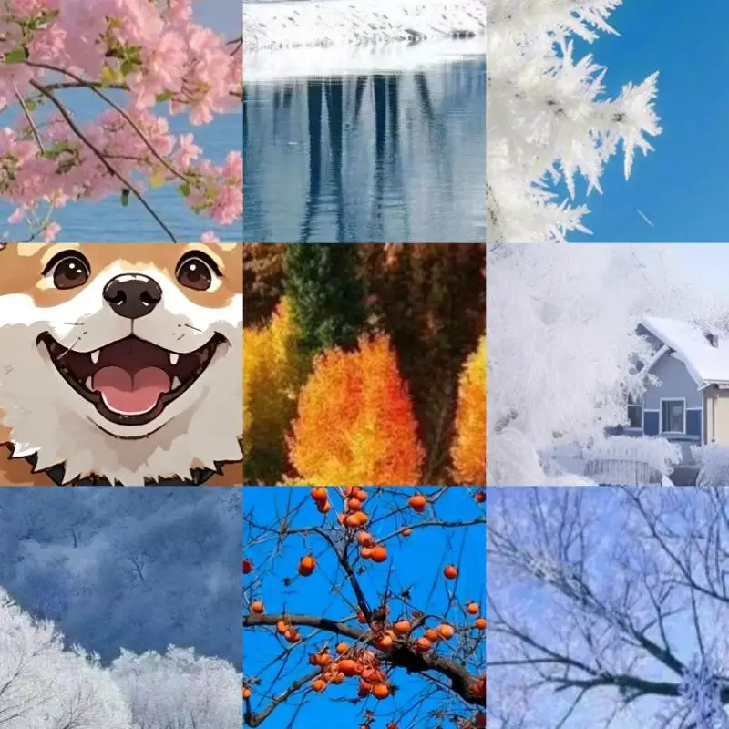 

Case for Motorola Moto Tag Silicone Keychain Waterproof for Motorola Tag Holder Tag Case Keyring for Dog Collar Luggage Keys