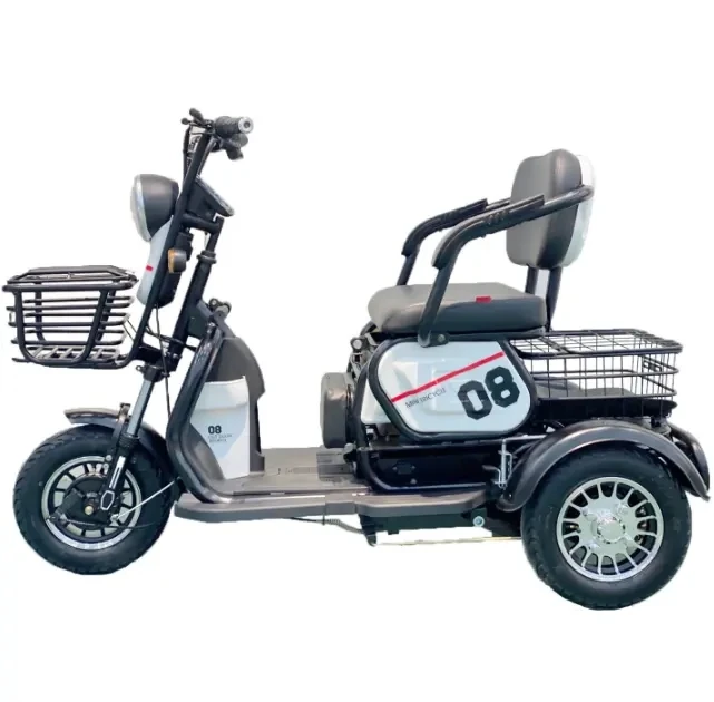 Adult Leisure Electric Tricycle Mobility Scooter with Foldable Seat for The Disabled