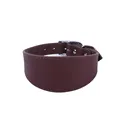 brown collar
