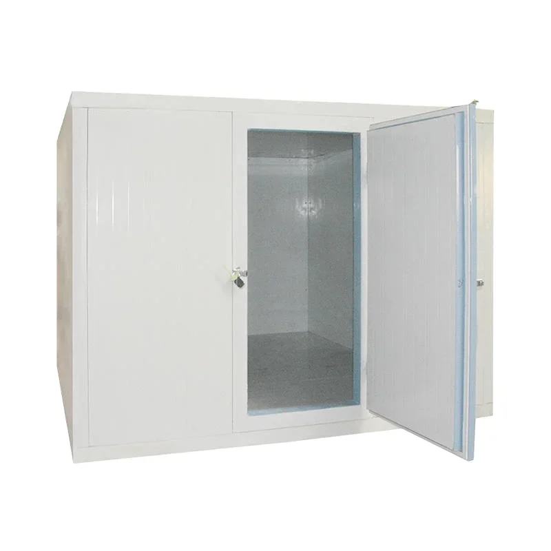 Easy to install cold store freezer room cold storage for food storage