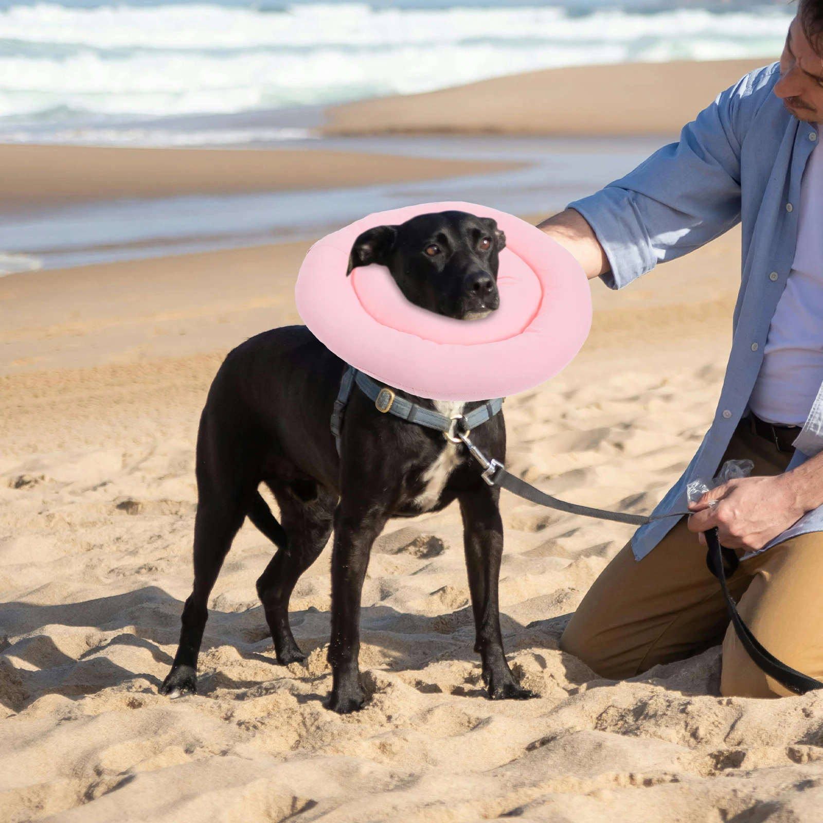 

Waterproof Soft Cone Collar for Dog Dogs after Surgery Cat Adjustable Comfortable