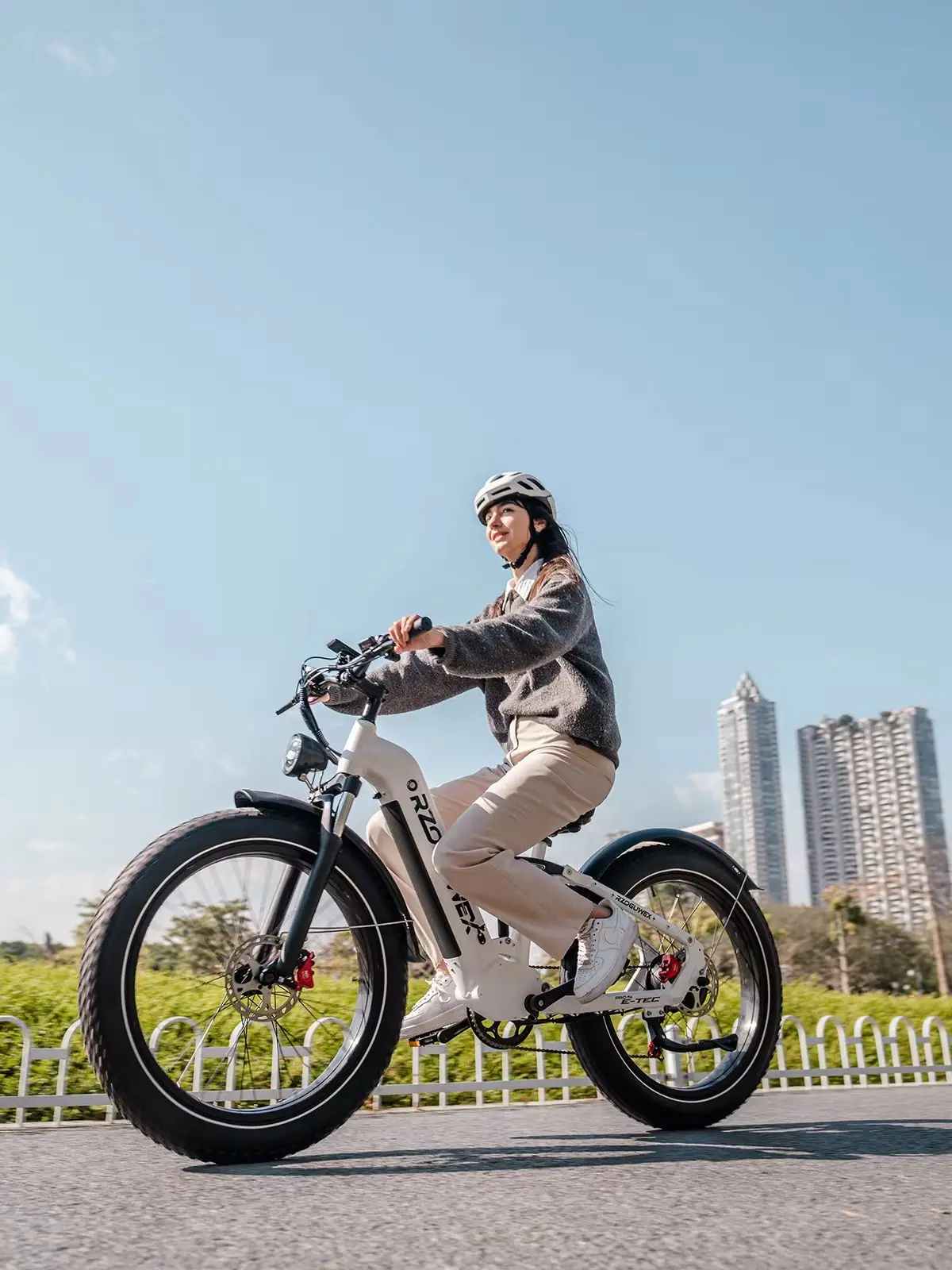 AliExpress RZOGUWEX S9 adult E-bike1000W all-terrain electric bicycle 48V25Ah city ebike battery 20-inch fat tires E-Mountain bike
