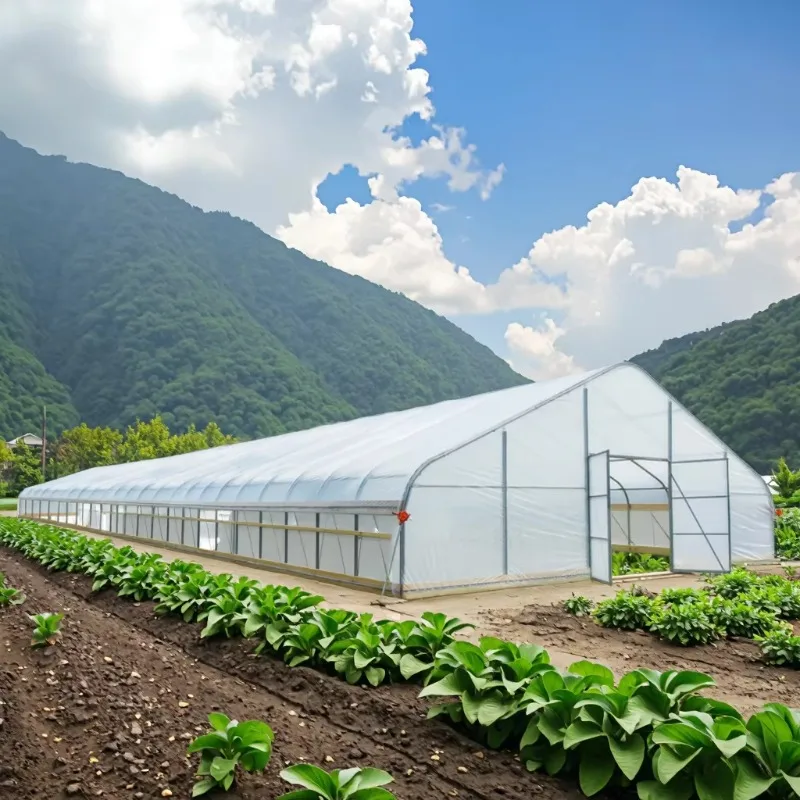 Tienda de campaña de jardín con invernadero de película de PE galvanizada W30ft L30ft H12ft, transmitancia de luz 92% para cultivo de plantas agrícolas