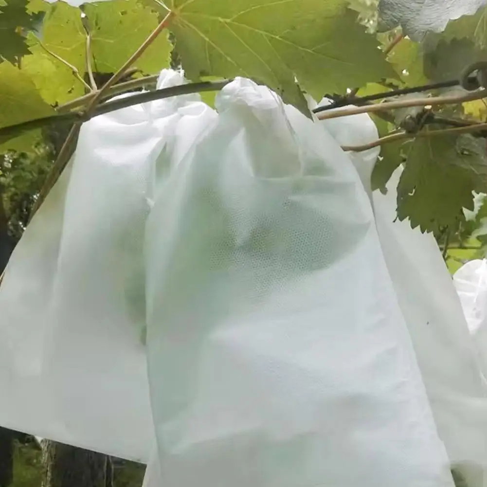 100pcs Strawberry Grapes Fruit Grow Bags Netting Mesh Tools Plant Anti-Bird Agriculture Bags Protection Garden Vegetable C7L5