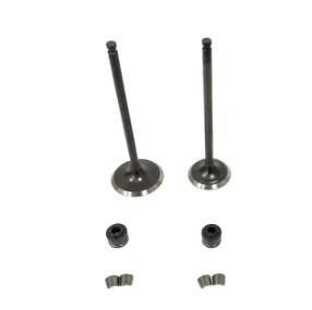 Motorcycle EXHAUST &INTAKE VALVE Oil Seal Locking Set For BENELLI BJ600GS BJ300GS Leoncino 500 TRK502X TRK 502X TNT300 TNT600