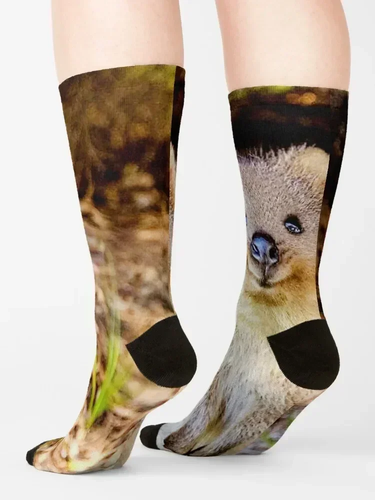 Be happy like a quokka Socks floral halloween retro Heating sock Male Socks Women's