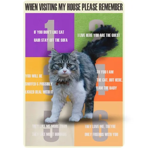 Funny Metal Tin Sign When Visiting My House Please Remember Wall Art Poster