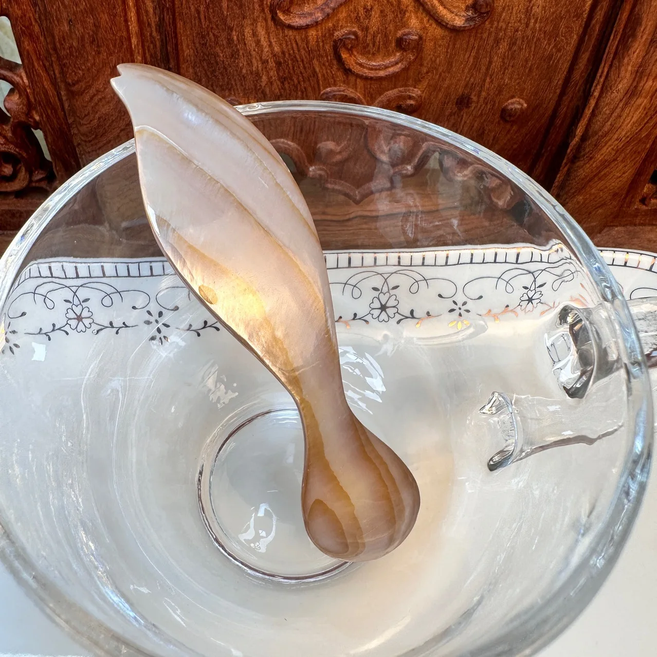 Aqumotic Shell Spoon 2pcs Caviar Spoons Mother of Pearl Spoons for Caviar unique spoons