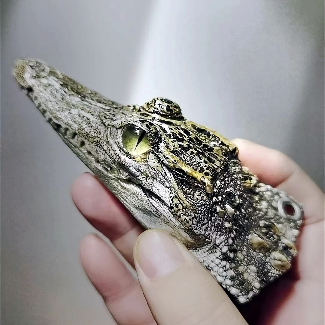 2067 Exquisite Alligator Skull Keychain Backpack Charm Car Decor Resin Crocodile Head Craft Unique Animal Theme Gift For Outdoor