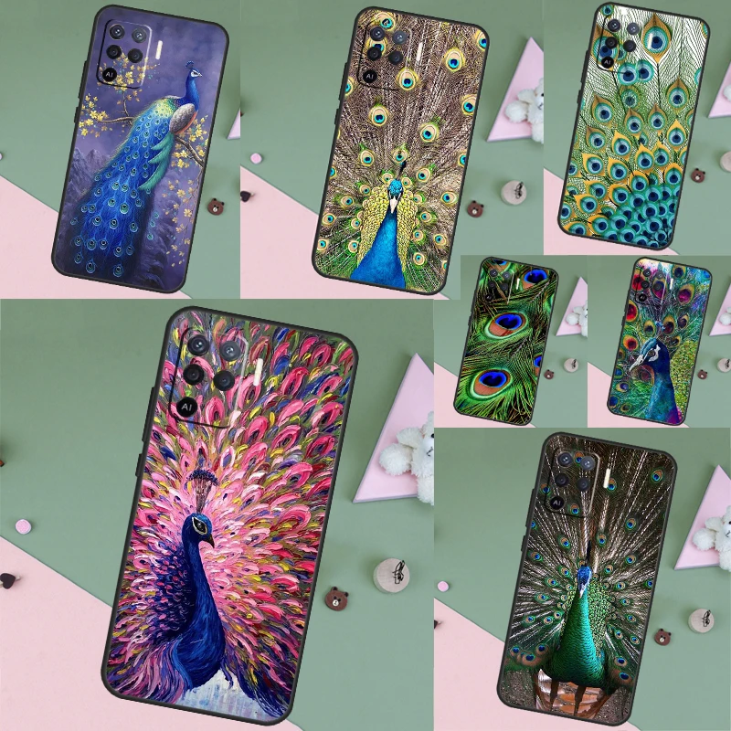 Animal Peacock Patt…