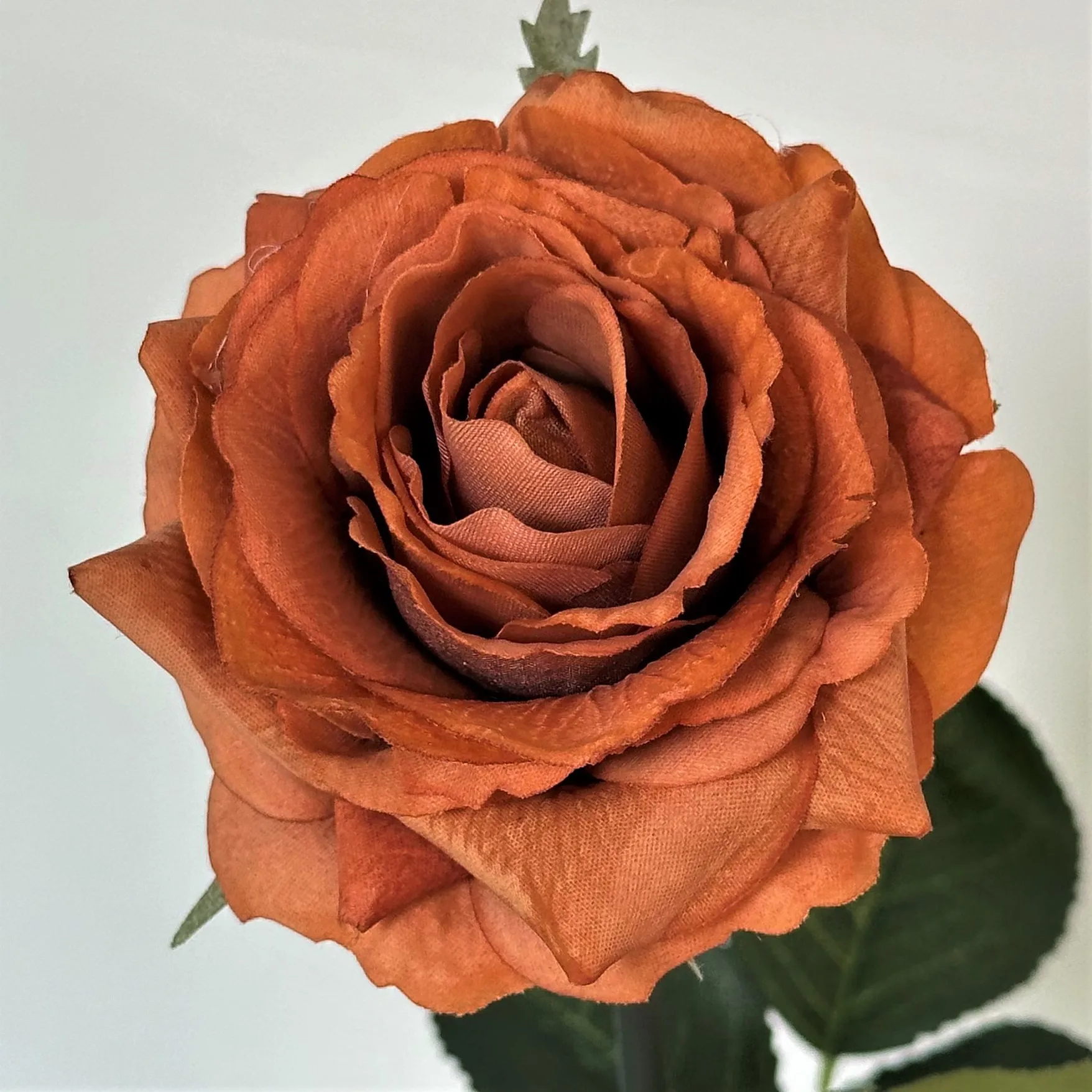 5 Stück Feuchtigkeitsspendende Rosen mit Echtem Touch, Künstliche Blumen für Hochzeitsdekoration, Brautstrauß, Kunstrosen für Party, Heim- und Tischdekoration – Detail 4