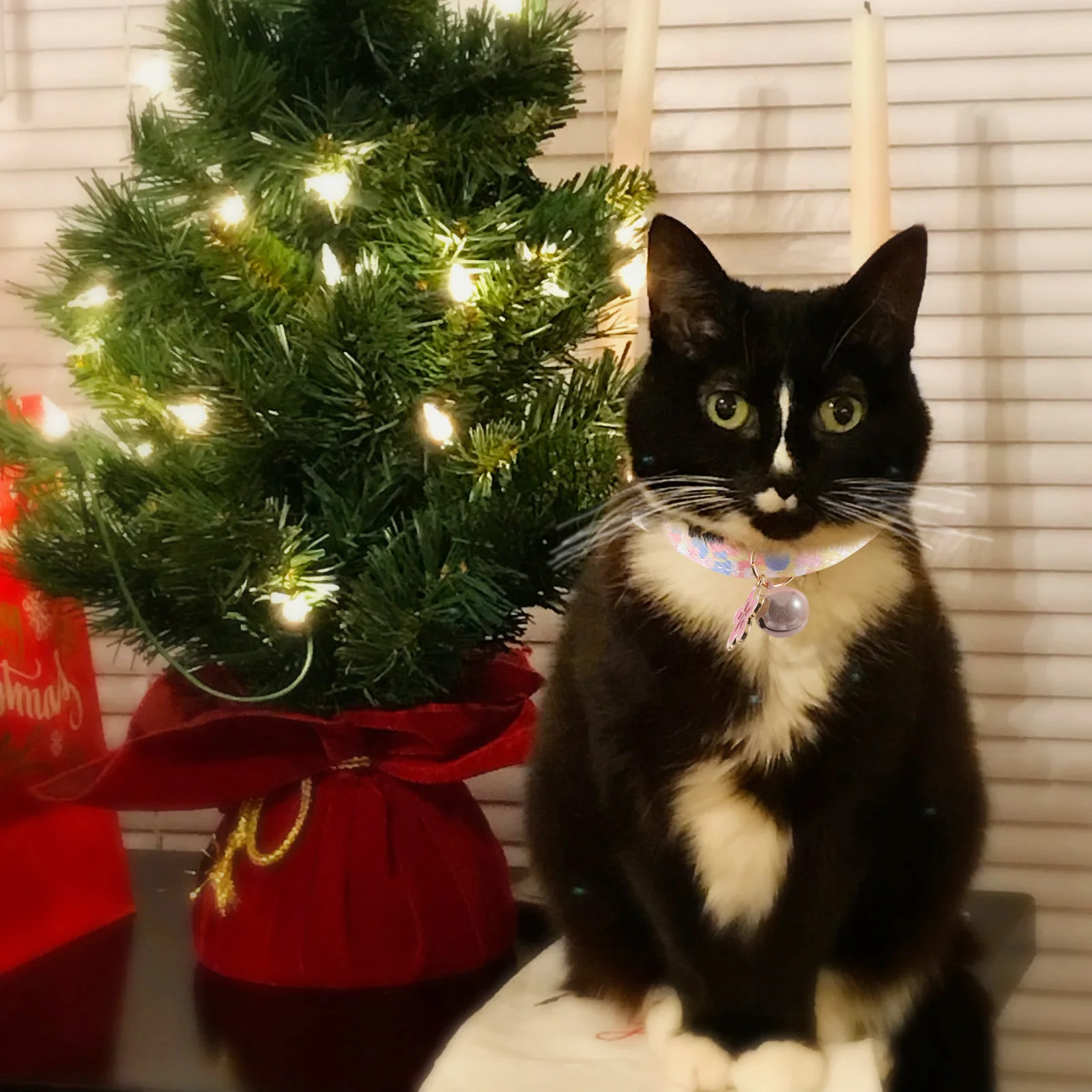 

Floral Bell for Cats Dogs Pink Flowers S Adjustable Pet Kitten Neck Collar Decorative Cat Dog Collar Cute Puppy Accessories