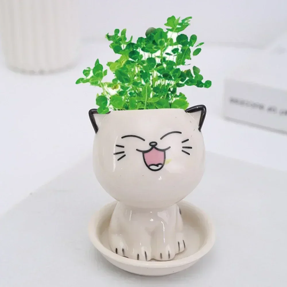 Ceramic Flowerpot Mini Cat Shaped Cartoon Cute Potted Plant Desktop Potted Expression Cat Plant Pot Desk Decorate Small Ornament