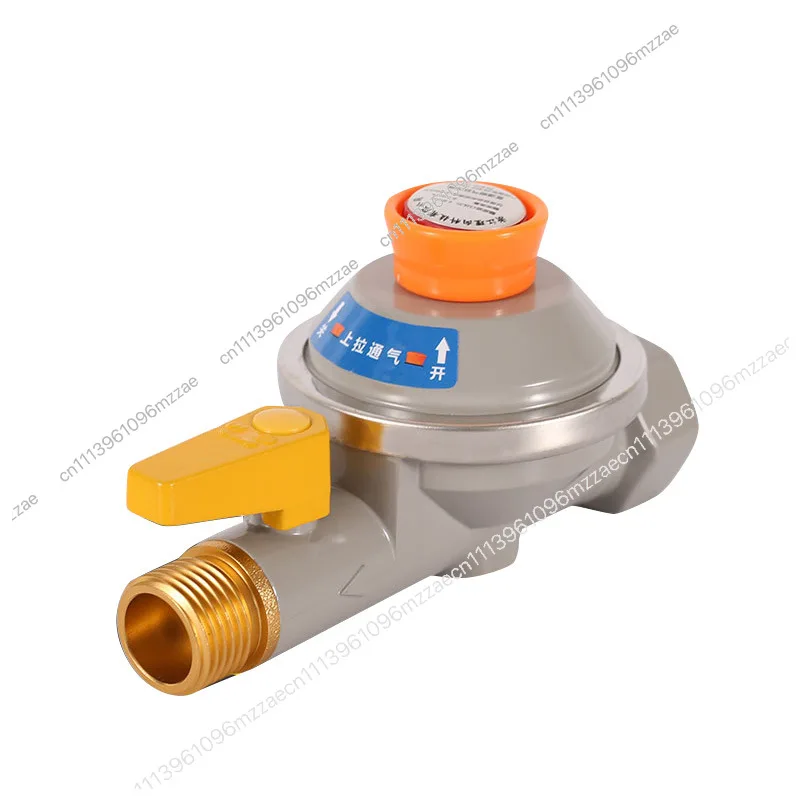 

Self-closing Valve for Gas, Natural Gas Company Pipeline Household Automatic Cut-off and Closing Valve